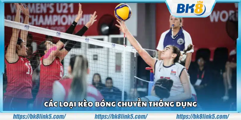 Bí kíp cá cược bóng chuyền online – Kinh nghiệm từ dân chơi lâu năm 3 Bi kip ca cuoc bong chuyen online 2