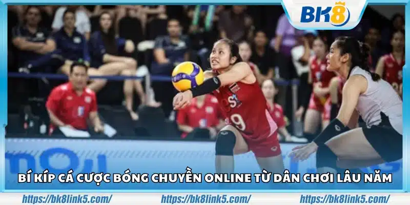 Bí kíp cá cược bóng chuyền online – Kinh nghiệm từ dân chơi lâu năm 4 Bi kip ca cuoc bong chuyen online 3