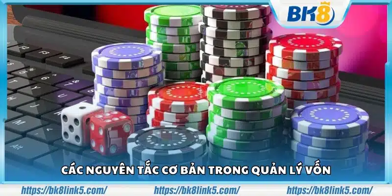 Cách quản lý vốn trong cá cược – Tối ưu hóa tiền cược để giảm thiểu rủi ro 3 Cach quan ly von trong ca cuoc 2
