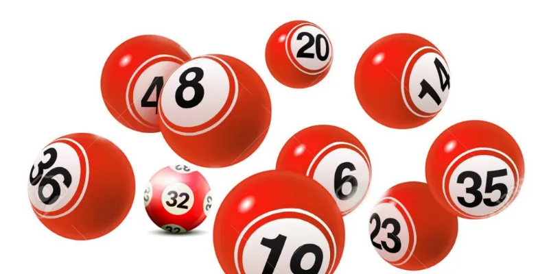 Mơ thấy rắn đuổi có hàm nghĩa gì hay không? 5 Lo ba cang 1