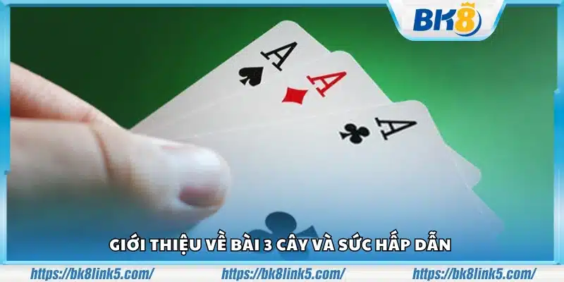 Mẹo đánh bài 3 cây dễ thắng – Chiến lược đặt cược thông minh 2 Meo danh bai 3 cay de thang 1 1