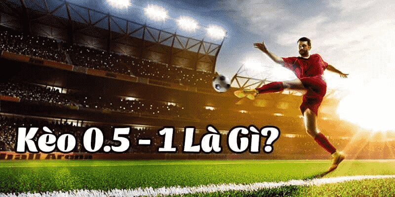 Kèo 0.5/1 là gì: Cách dự đoán kèo chính xác 99,99% 4 nguyen ly