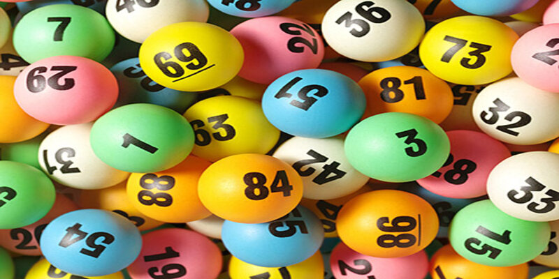 Mơ Thấy Rùa: Dự Đoán Vận May và Con Số May Mắn Trong 2024 6